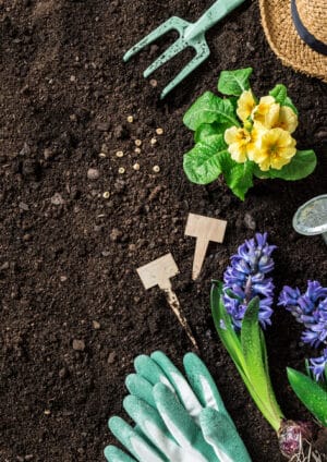 Ποια ανοιξιάτικα λουλούδια μπορείτε να φυτέψετε στον κήπο σας για όσο το δυνατόν περισσότερο χρώμα